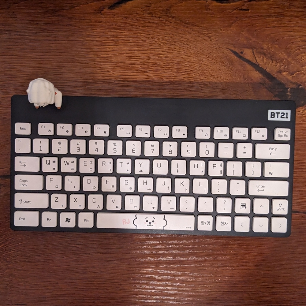 BTS BT21 x Royche Wireless Keyboard